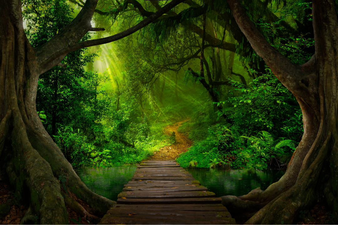 Q+A Soulbare Collective  (3).png