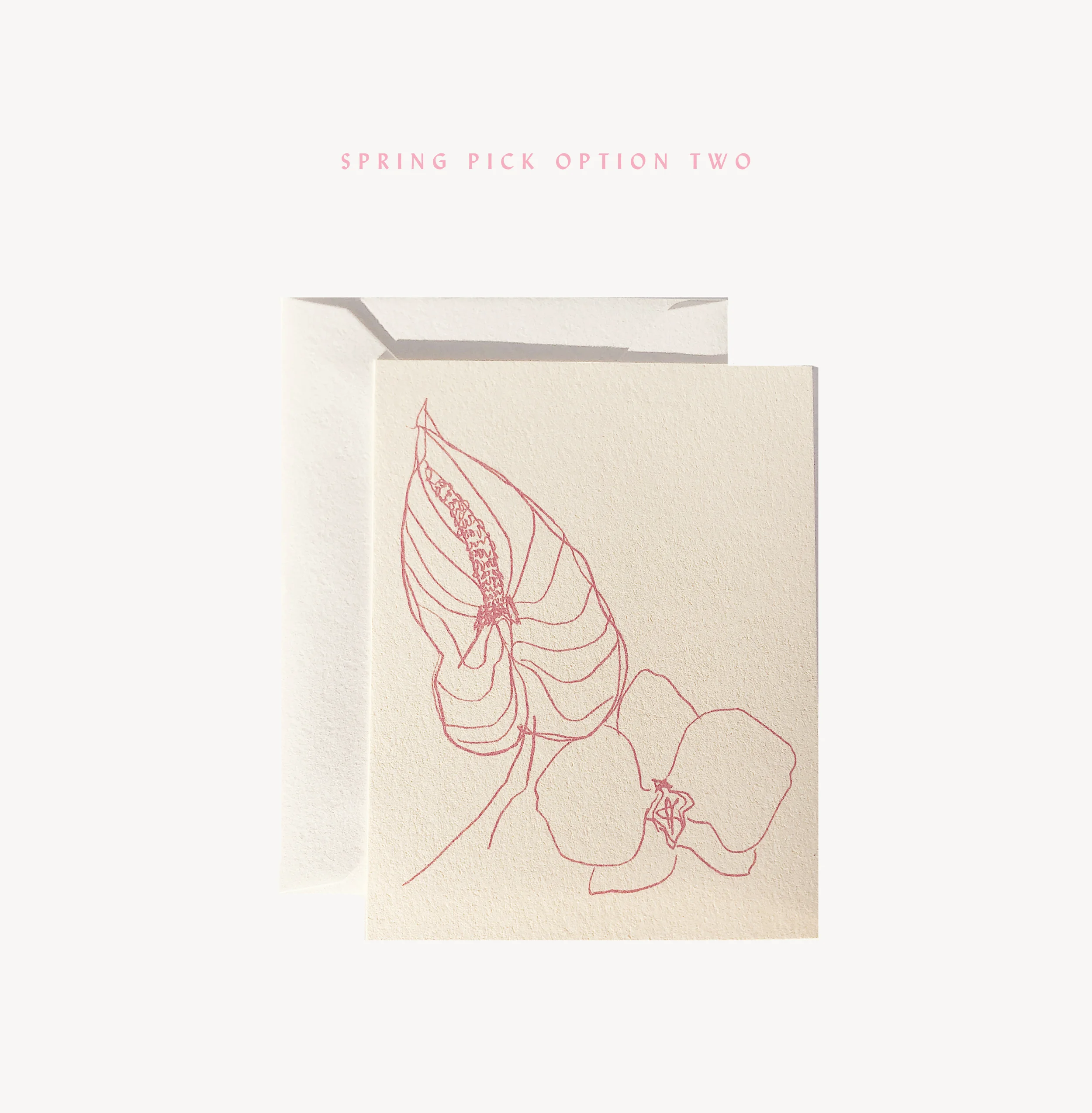 WildeHousePaper_Flora-Notecards4.jpg