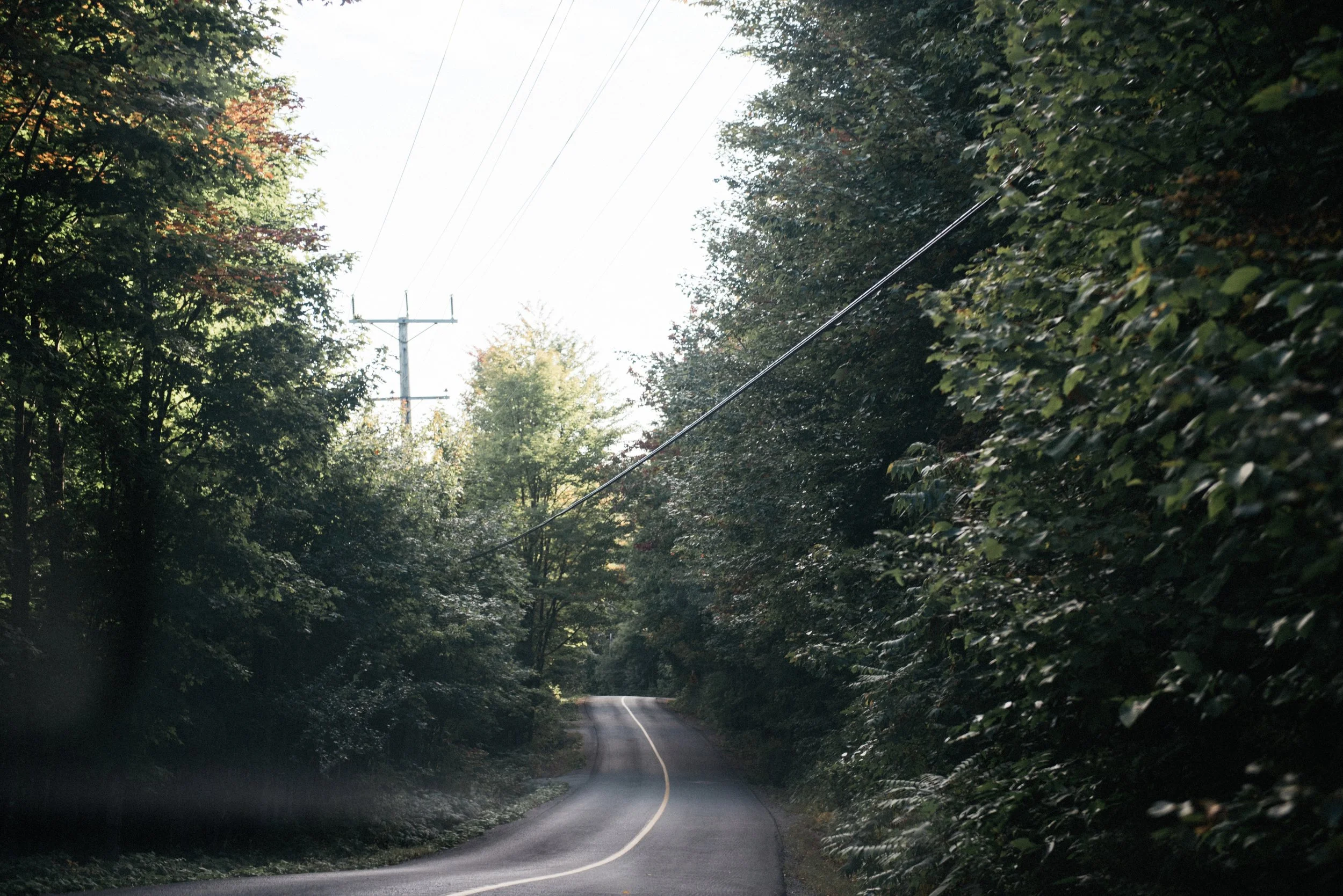 DSC_1525-xp.jpg