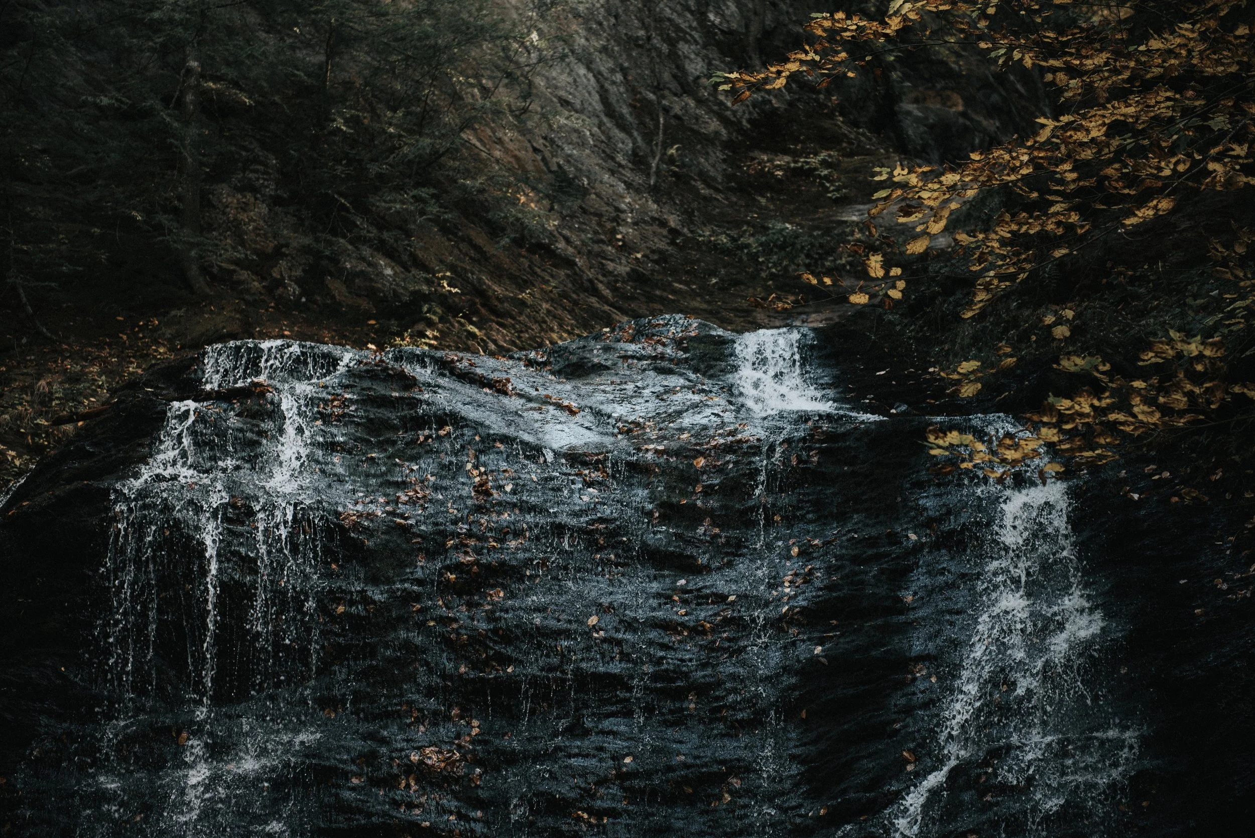 DSC_6390-xp.jpg