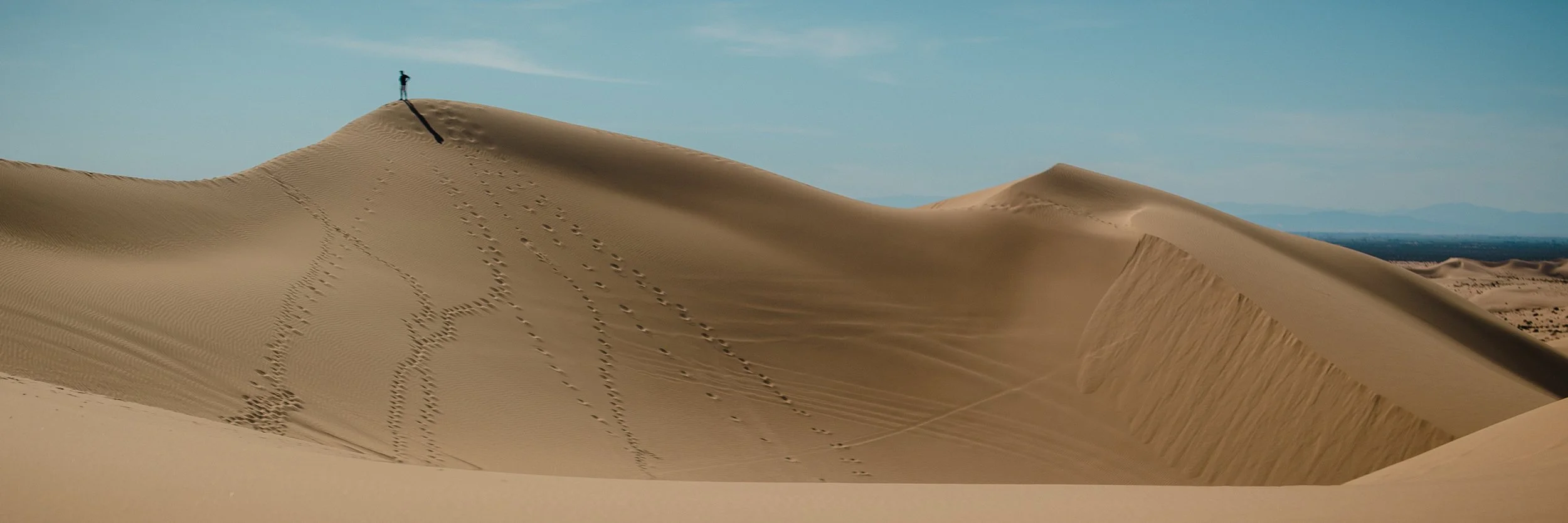 _LCE0181.JPG