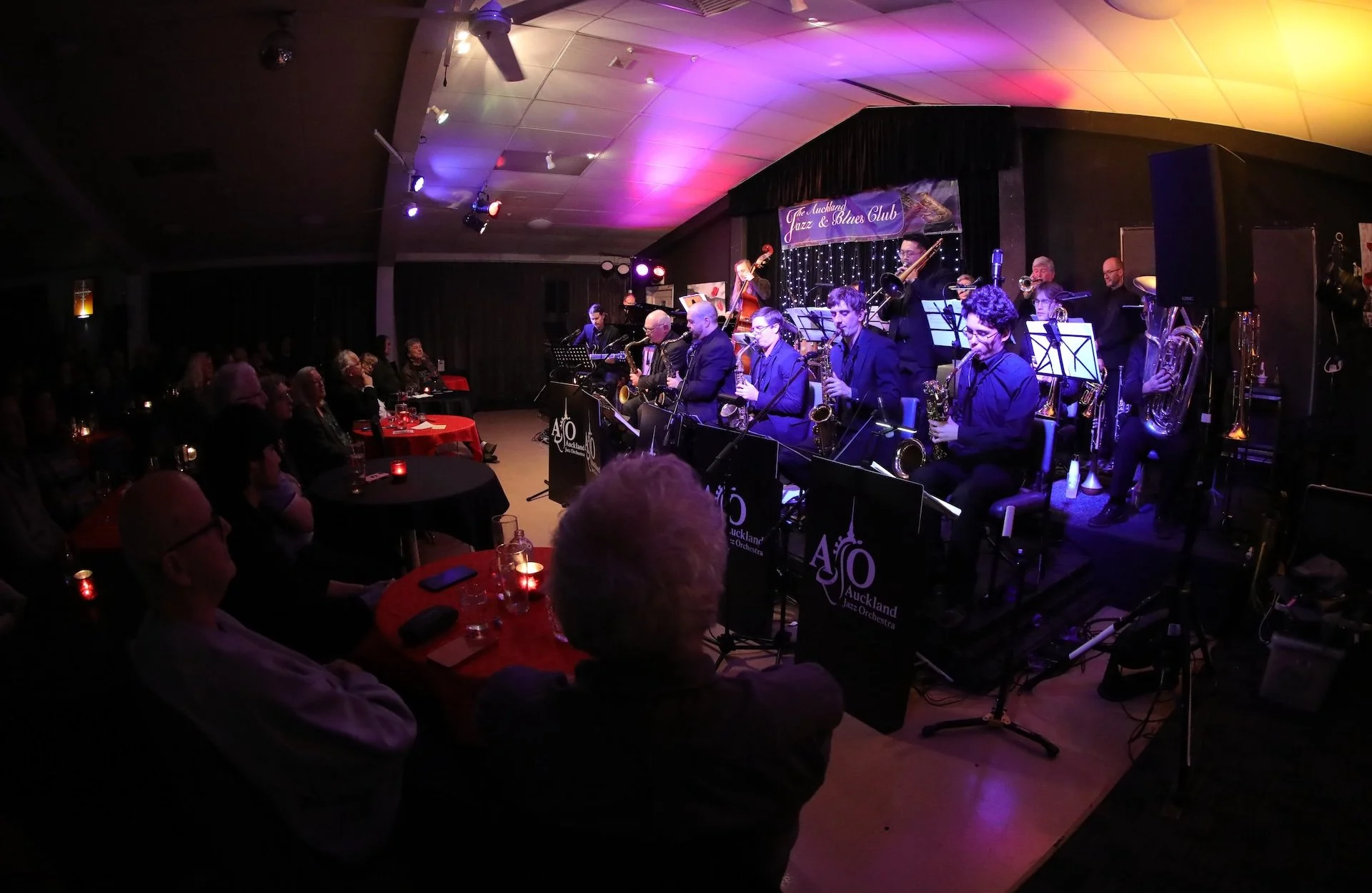 Auckland Jazz Orchestra_17-6-25 11.JPG