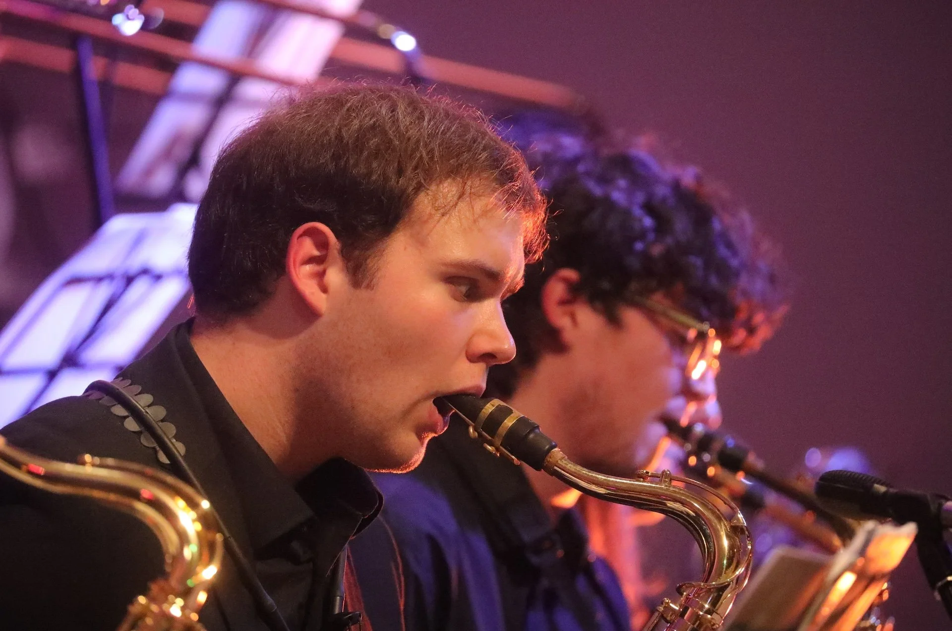 Bombardilo Crocodile_1-7-25 63.JPG