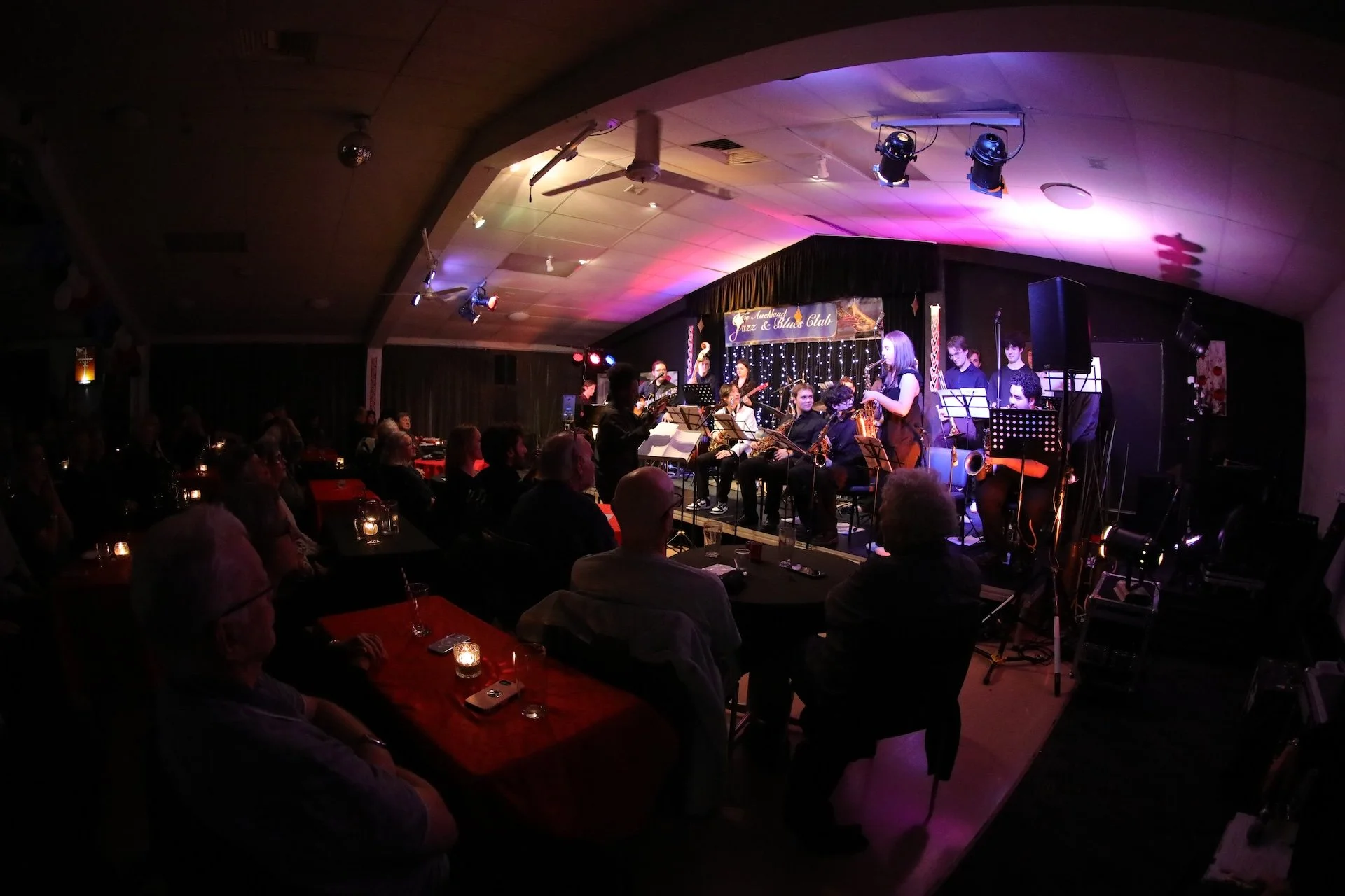 Bombardilo Crocodile_1-7-25 106.JPG