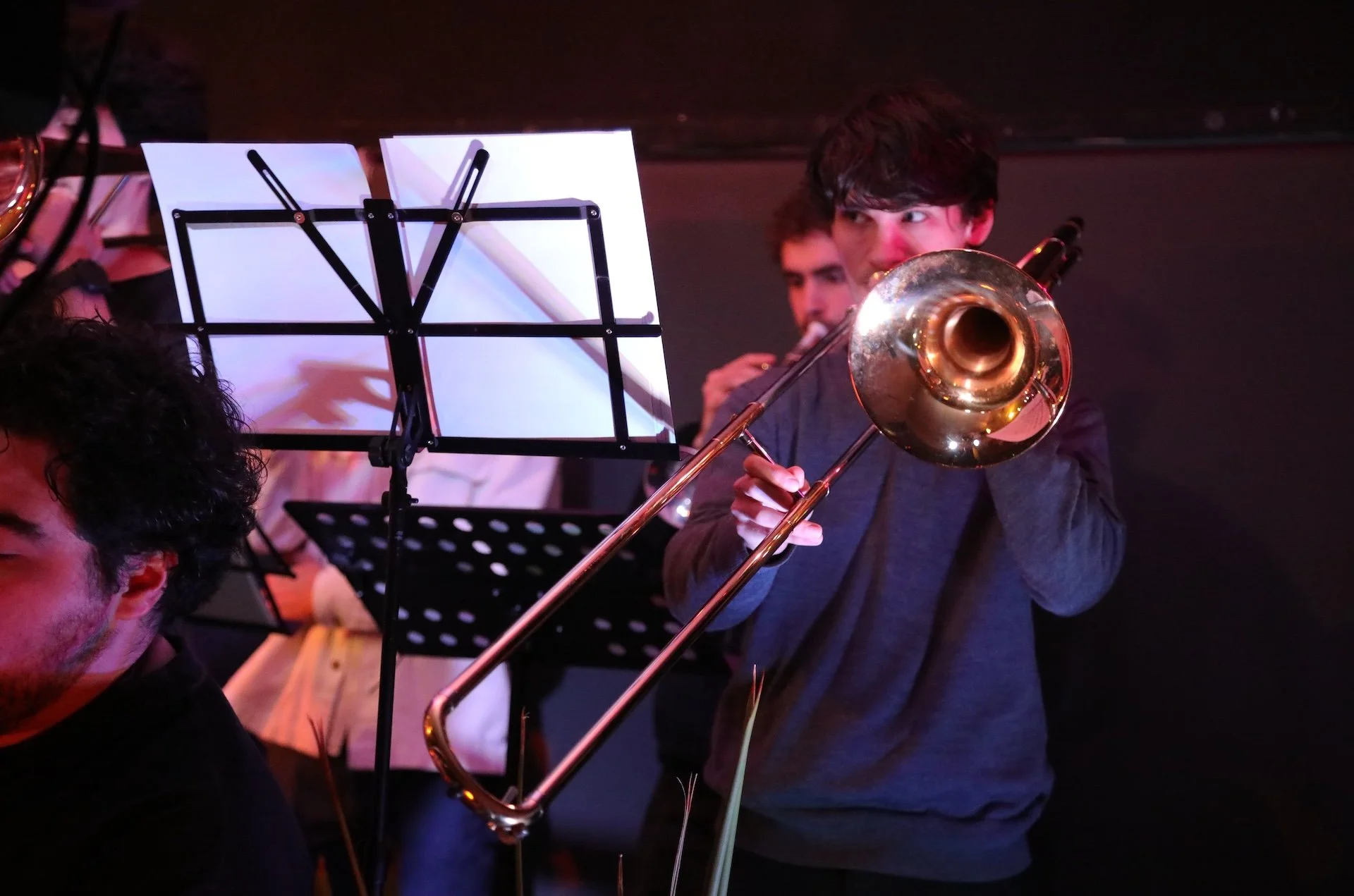 Bombardilo Crocodile_1-7-25 116.JPG