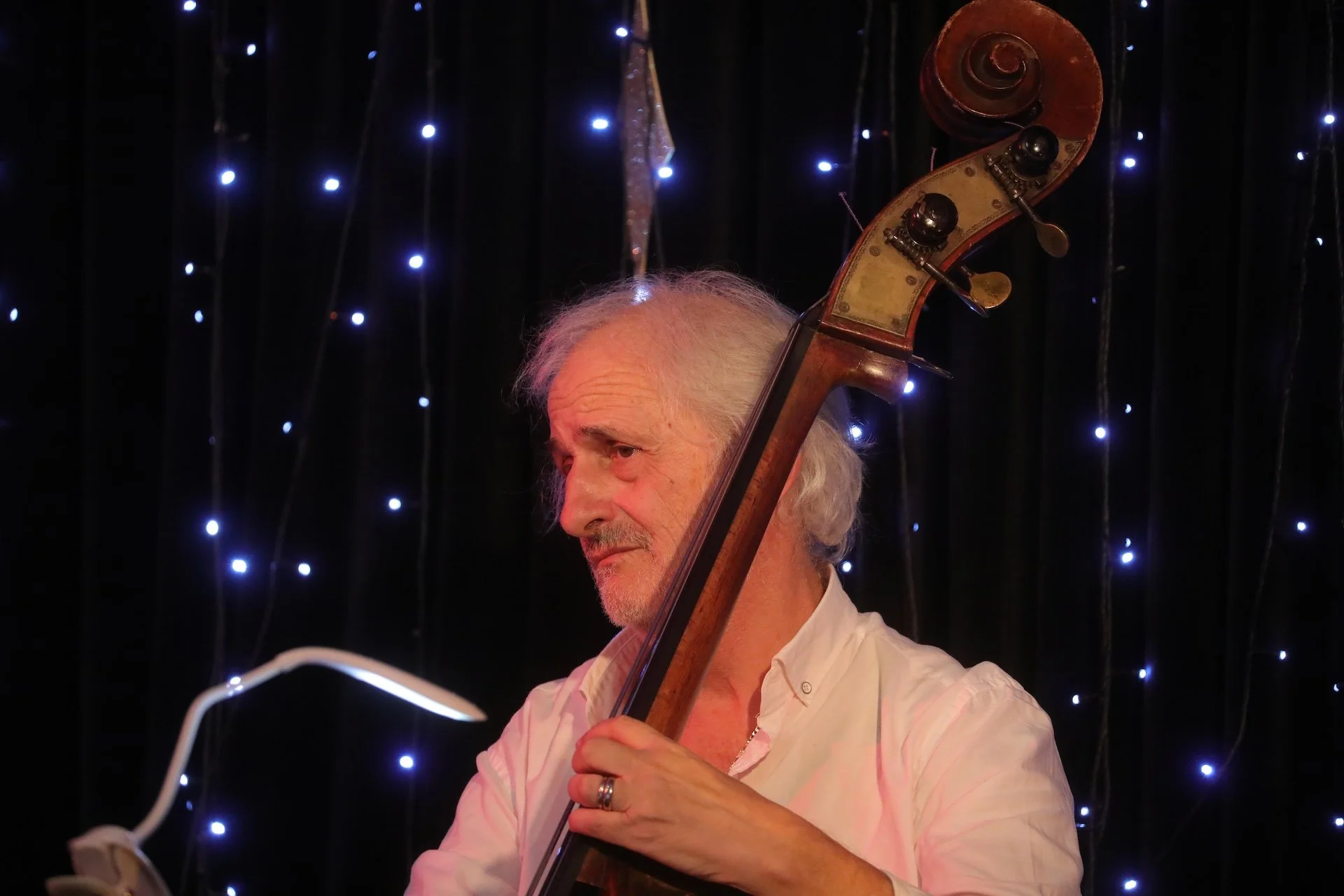 Alberto Santerelli - upright bass