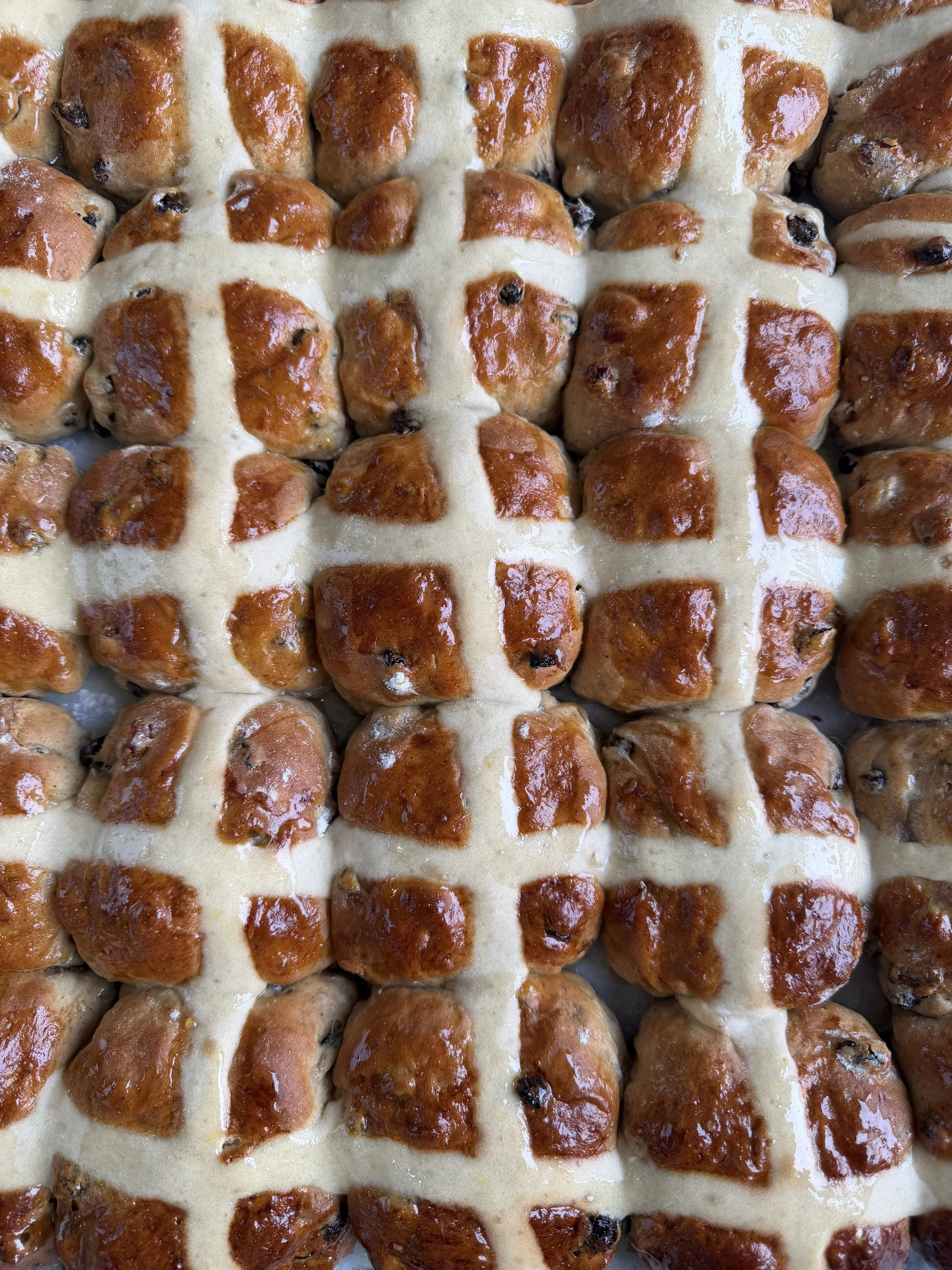 HOT CROSS BUNS.jpg