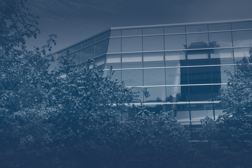 Team — Management Consulting Group
