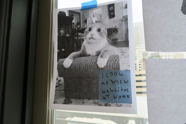 IMG_1067.jpeg