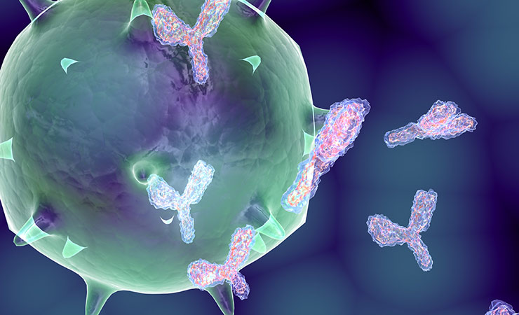 monoclonal_antibody_treatments.jpg