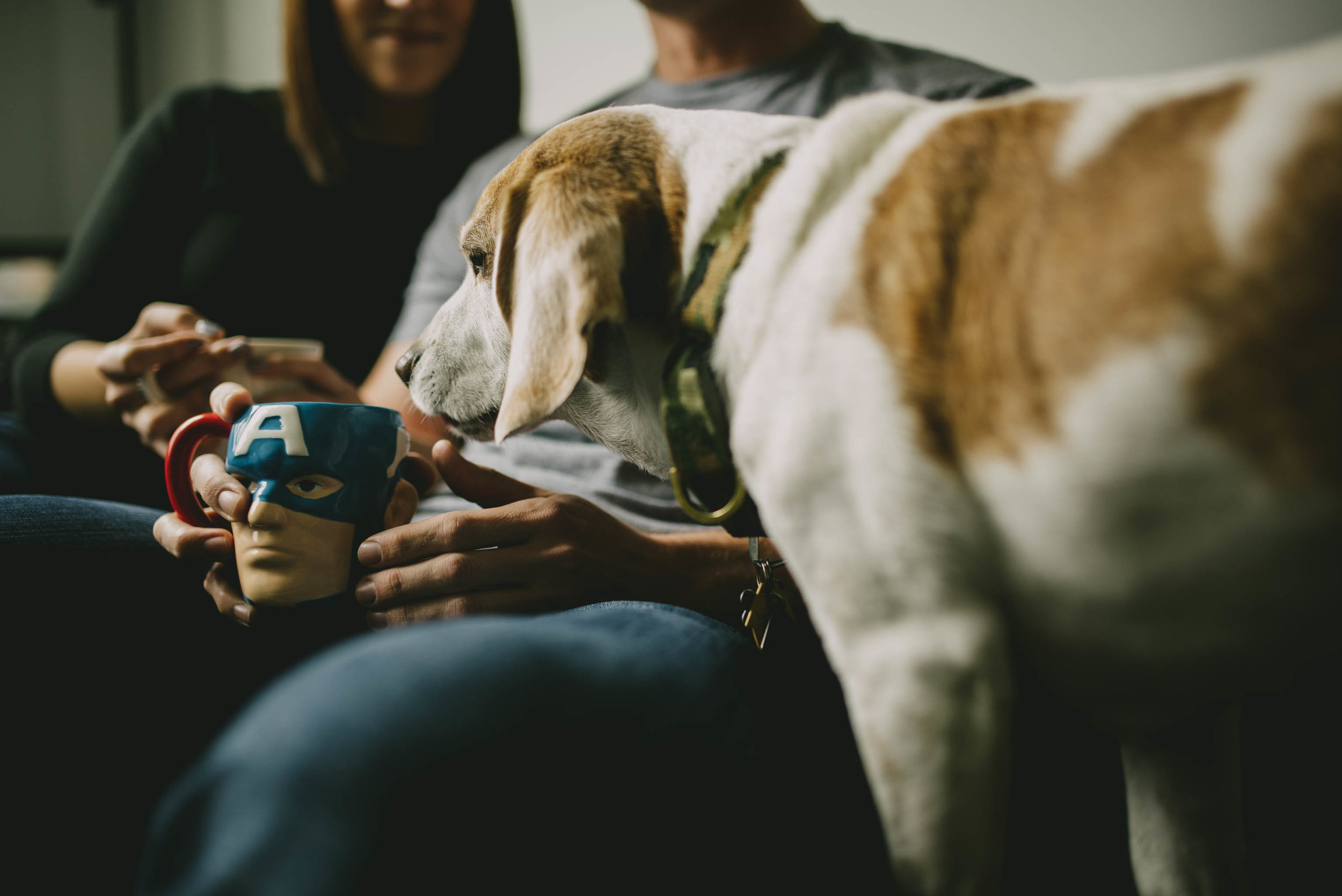 pet friendly engagement photos raleigh nc