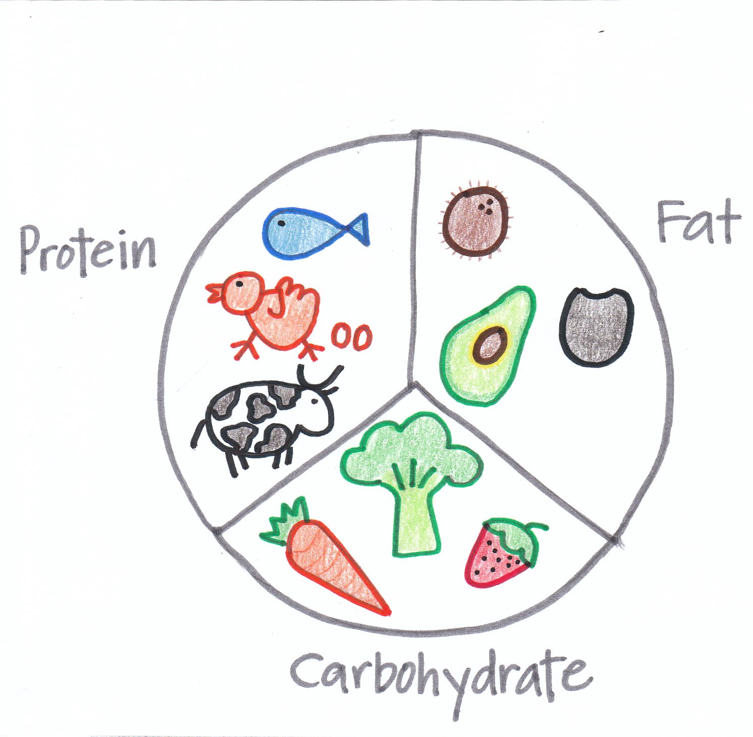 bigger leaner stronger macros bigger leaner stronger macros