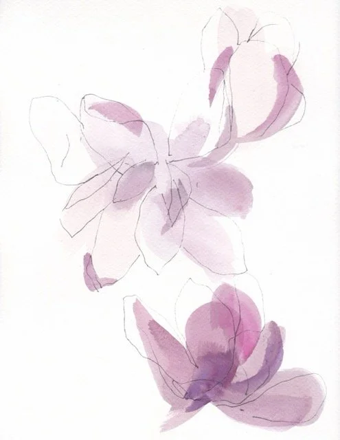 magnolias watercolor_a Medium.jpeg