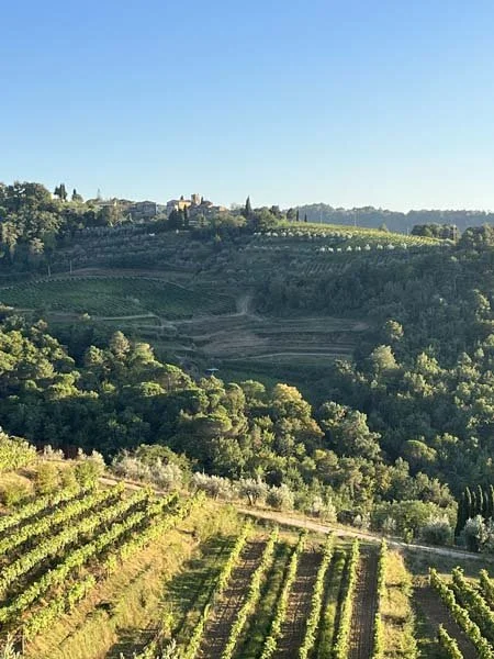 The beautiful hills of Chianti Classico
