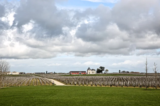 bordeaux2016 (1 of 1).jpg