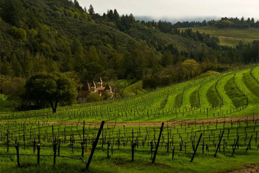 The Majesty of Spring Mountain — K&L Wines On the Trail
