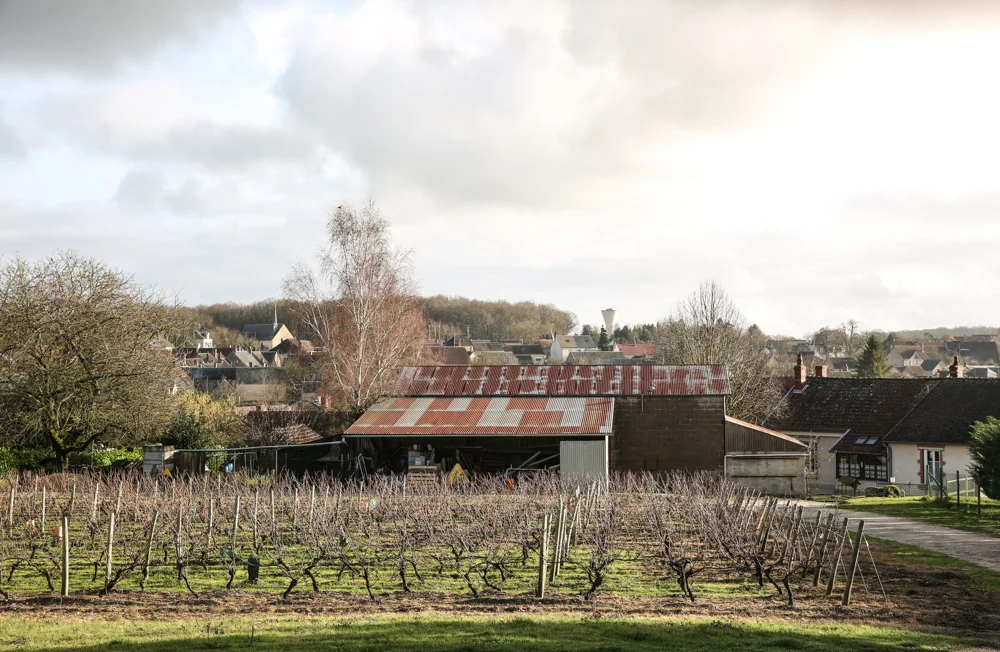 loirevalleyssj15 (1 of 1).jpg