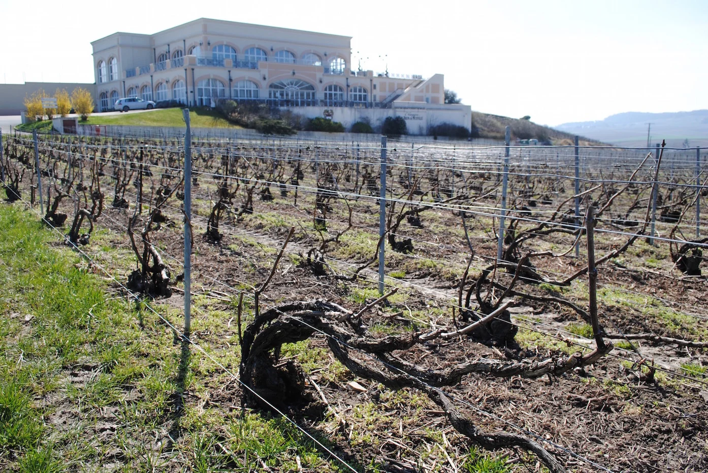 A Grand Scale for Grand Champagnes — Le Brun de Neuville