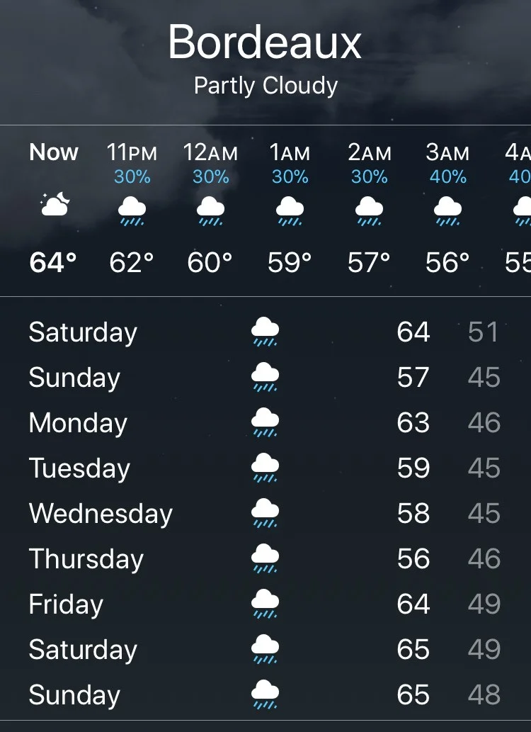 forecast.jpg