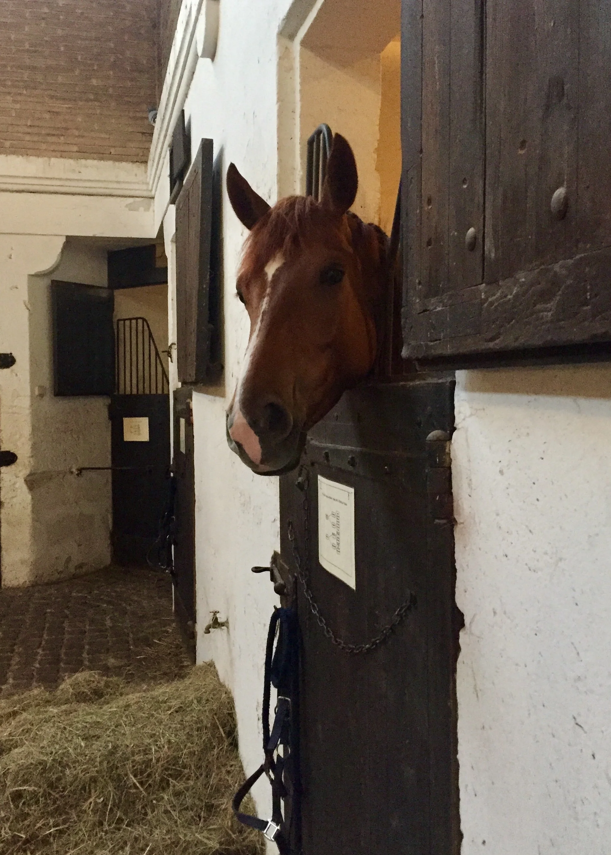 The Completely Unexpected at Château de la Malleret