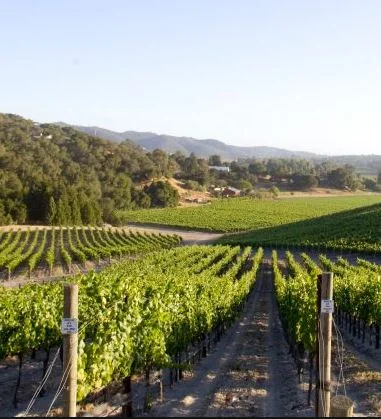 Bringing the Farm to LA: Our Farm-to-Table Dinner with Brian Talley
