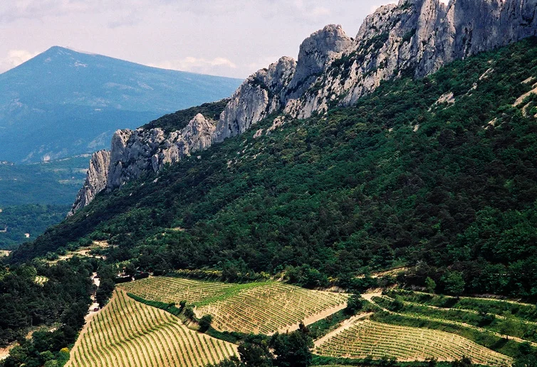 Ladies to the Front—Two Stand-Out Southern Rhône Producers