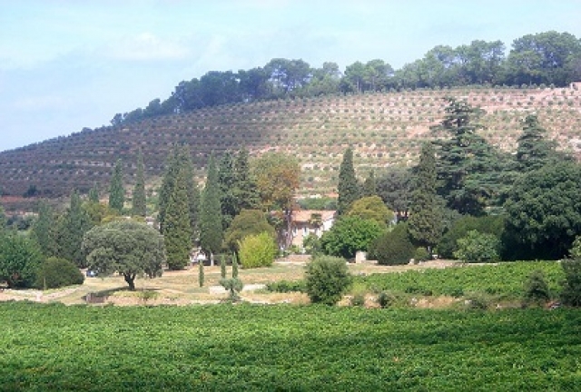 vue_abbaye_555555.jpg