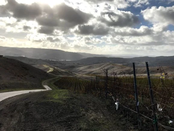 A Visit to Dragonette Cellars
