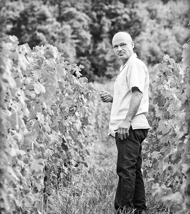 Dreamy Wines from Jura