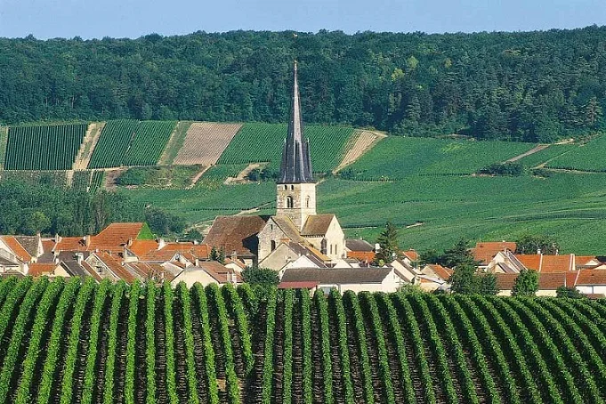 Pascal Lallement Is Crafting a Stunning Value in Champagne