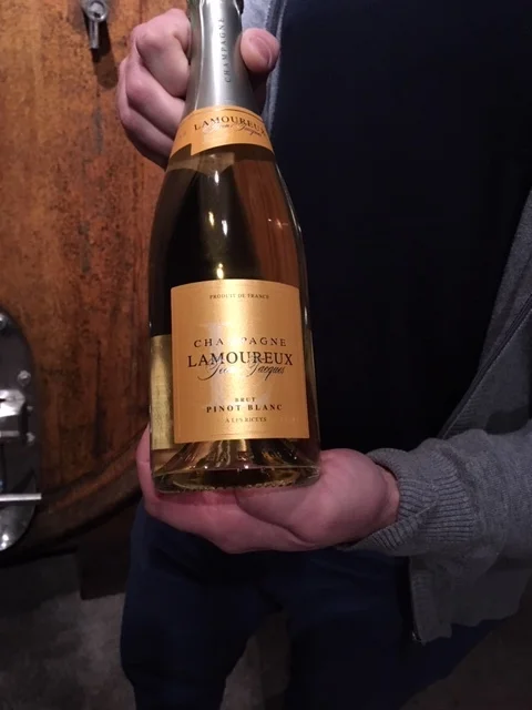Champagne's Southern Edge—A Visit with Lamoureux