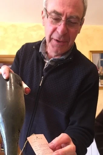 fallet3.jpg