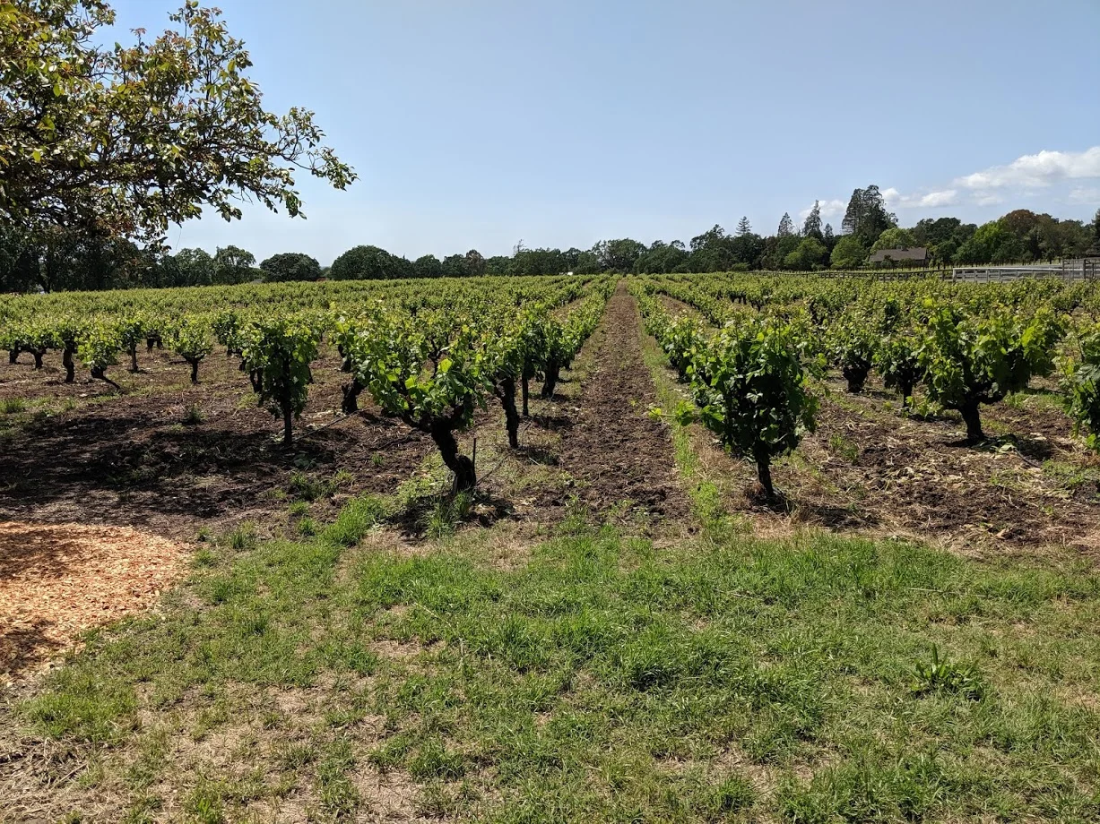 A Visit with Mike Officer of Carlisle Winery — K&L Wines On the Trail Blog
