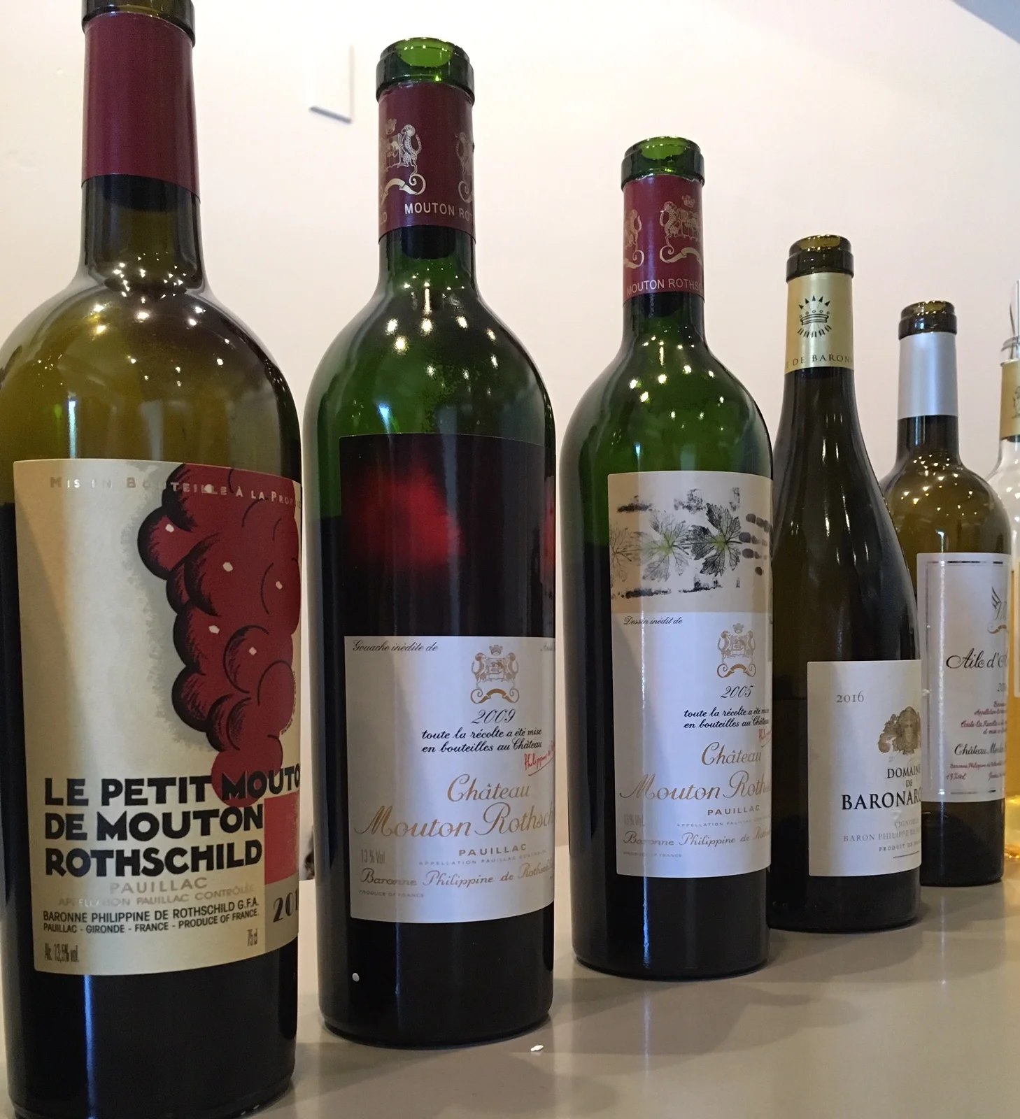 Mouton1.jpg