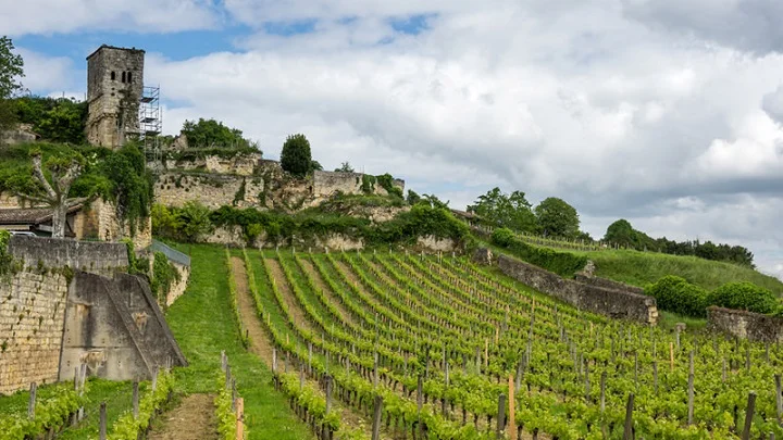 The Comprehensive Guide to Bordeaux's 2018 Vintage