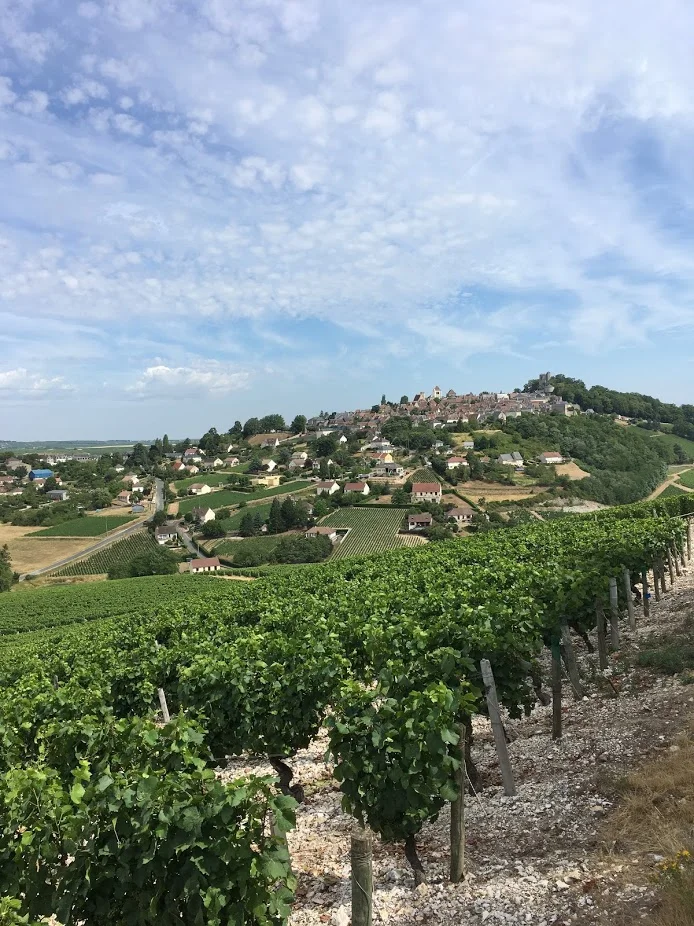 Visiting Sancerre