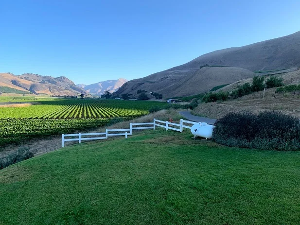 The Golden Age for Liquid Gold: Santa Barbara County Chardonnay