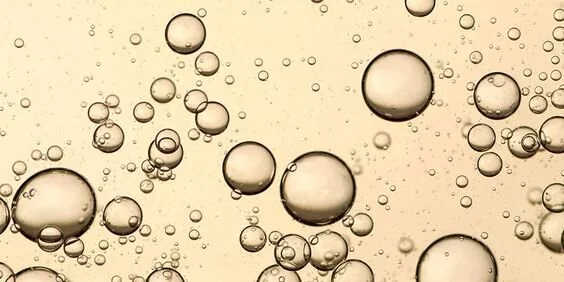 Bring on the Bubbles: K&amp;L's Champagne Newsletter!