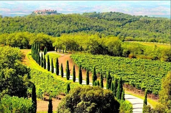 The Italian Newsletter: Forza, Italia! We Love You.