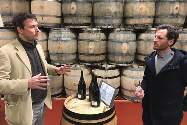 An In-Depth Tasting at Bollinger