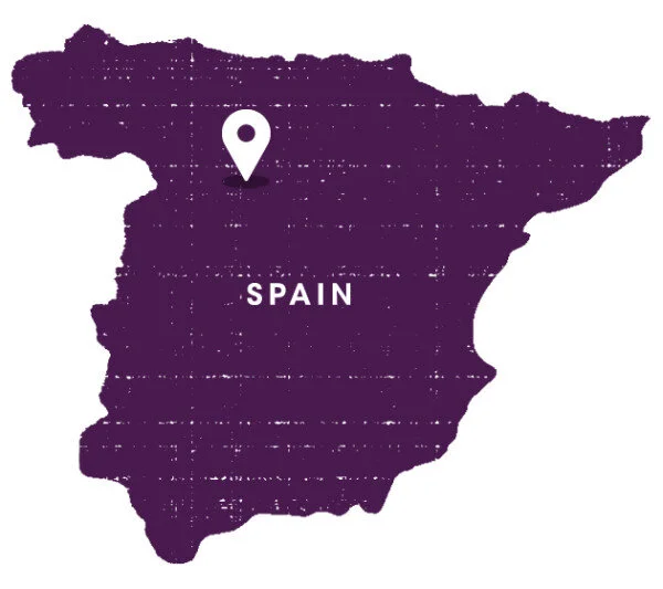 Ribera-del-Duero-600x533.jpg