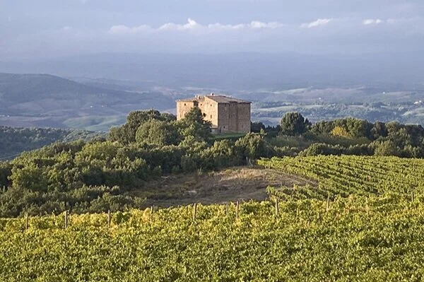 The Art of Brunello from Castello Romitorio