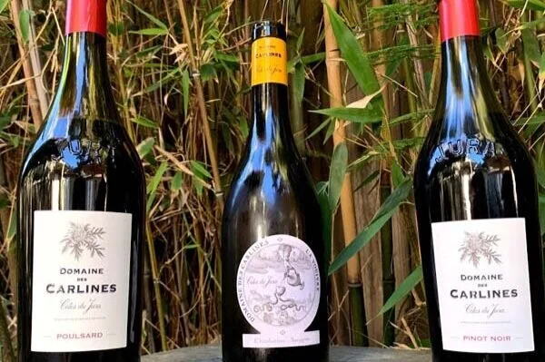 New Reds from a Jura Fave: Domaine des Carlines