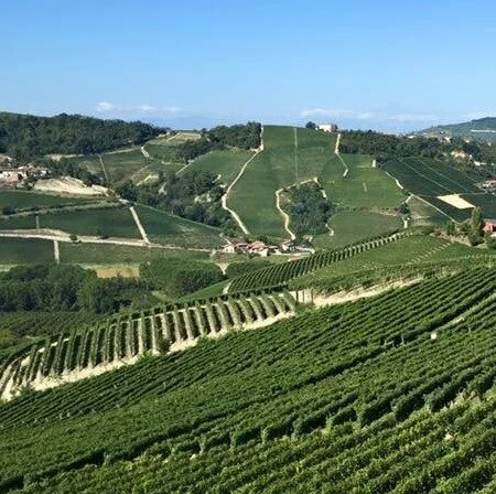 The Not-To-Be-Missed 2016 Piedmont Vintage