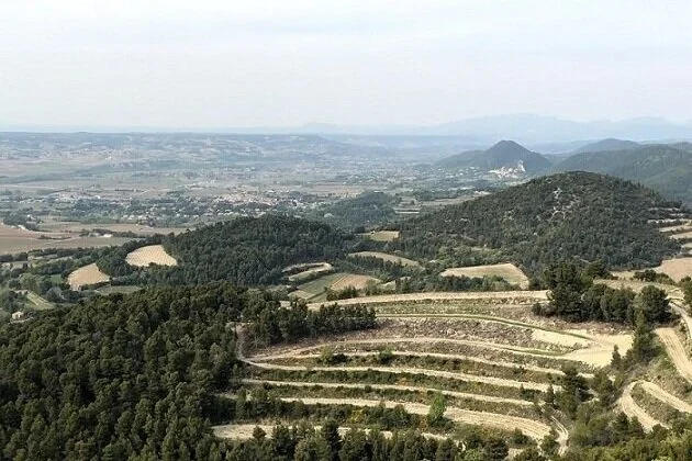 From Châteauneuf to Condrieu, the Rhône Is a Bounty of Riches