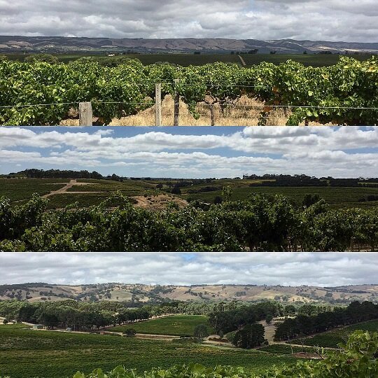 klwines-ministry-of-clouds2