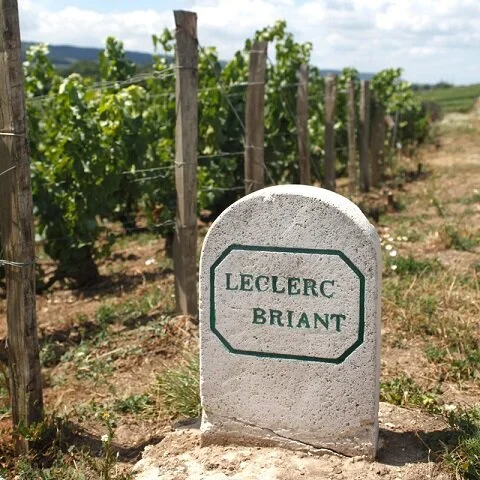 leclerc-briant