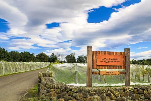 klwines-ata-rangi-2
