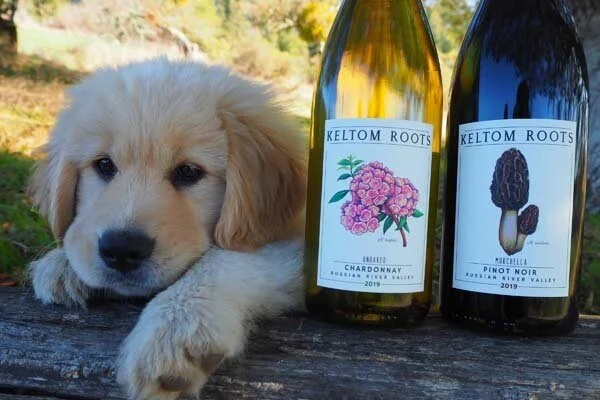 A (Strange) Year in the Life of a Wine Buyer