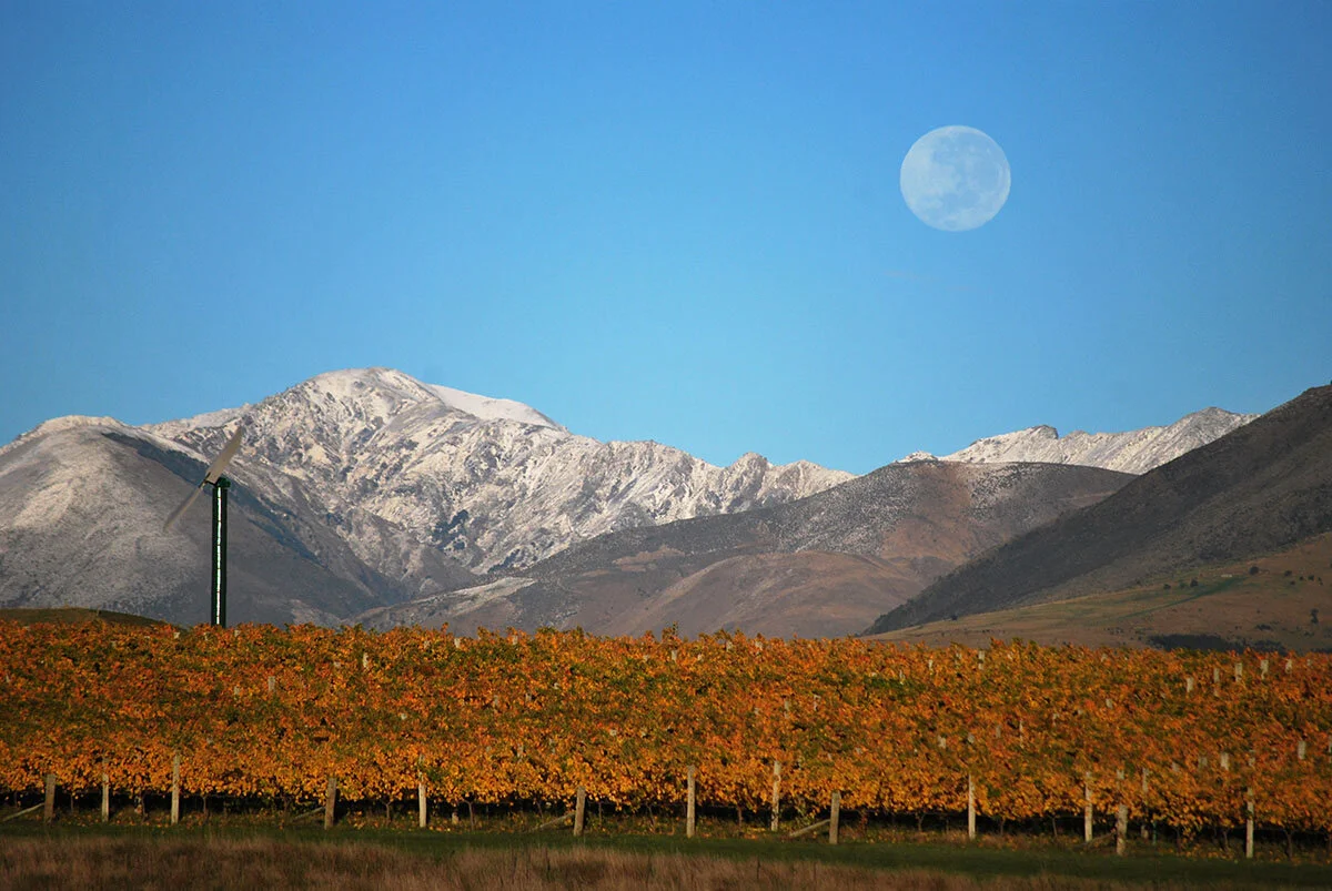 EMAIL-Marlborough.Ballochdale-New Zealand Wines.jpg